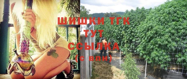 молекула духа Алексеевка