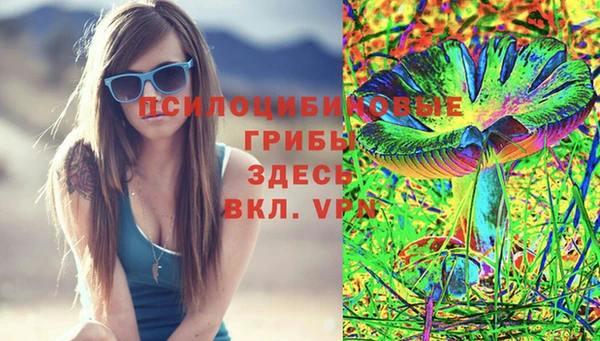 амфетамин Алексин
