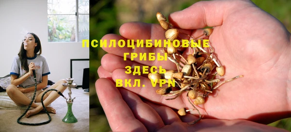 молекула духа Алексеевка