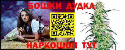 PSILOCYBIN Малгобек