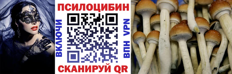 купить  цена  Саянск  Псилоцибиновые грибы ЛСД 