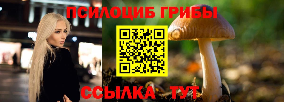 Псилоцибиновые грибы ЛСД Саянск